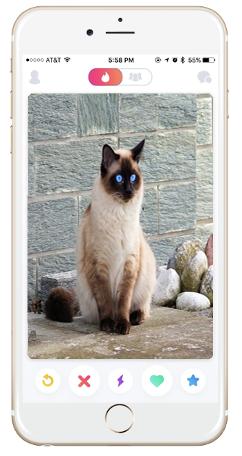 iphone-mockup